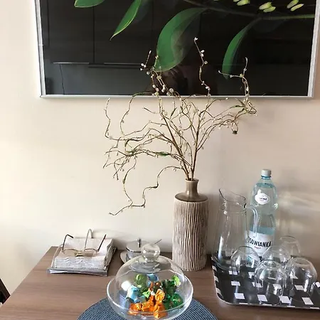 Siewna-moje Miejsce Na Idealne Krakkó